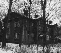 40. St. Petersburg, 2014