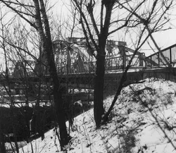 43. St. Petersburg, 2014