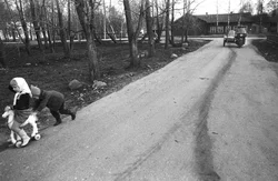 28. Chukhloma, Kostroma region, 1989