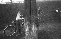 29. Chukhloma, Kostroma region, 1989