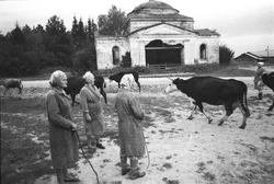 60. Village Vedenskoye, Kostroma region, 1989