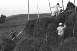 51. Arkhangelsk region, 1990