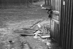 36. Village Krasnaya Niva, Kostroma region, 1992