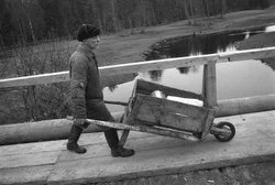 59. Village Krasnaya Niva, Kostroma region, 1992