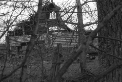04. Village Pogorelovo, Kostroma region, 1992