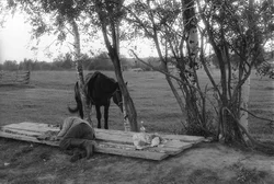 21. Smolensk region, 1992