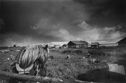 41. Karelia, 1981