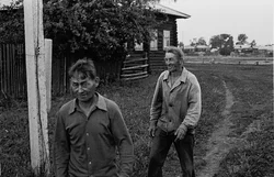 13. Vologda region, 1984