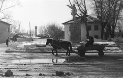 42. Novosibirsk region, 1985