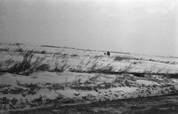 45. Novosibirsk region, 1985