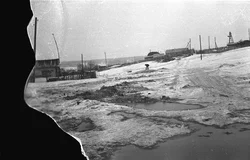 80. Novosibirsk region, 1985