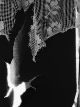 46. Kostroma region, 1988