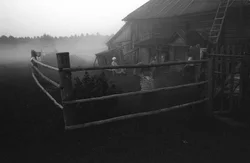 54. Kostroma region, 19